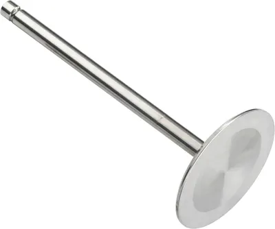Впускной клапан двигателя Zikmar Z17581R