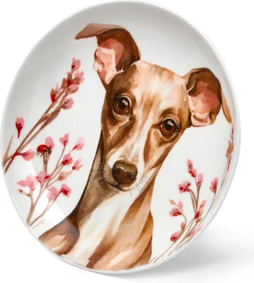 Тарелка закусочная (десертная) Fissman Dogs 16145