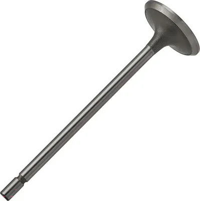 Выпускной клапан двигателя Zikmar Z17422R