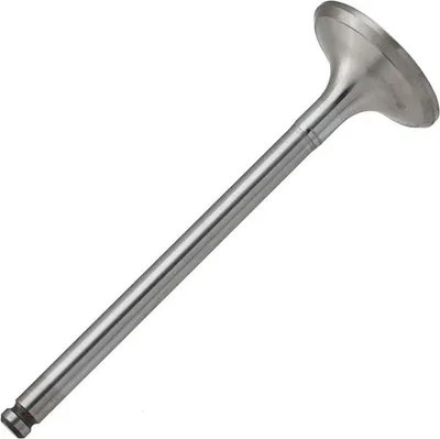 Выпускной клапан двигателя Zikmar Z17452R