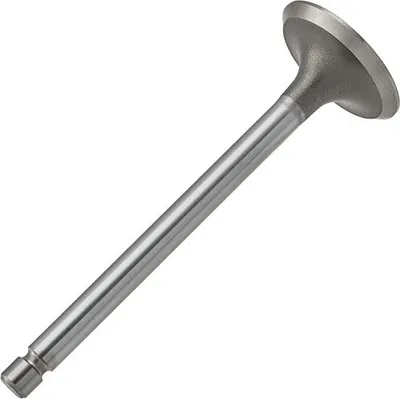 Выпускной клапан двигателя Zikmar Z17497R