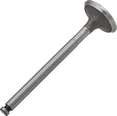 Выпускной клапан двигателя Zikmar Z17526R
