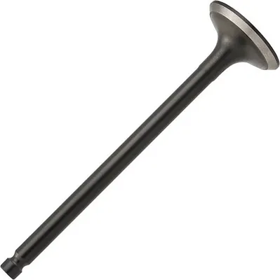 Выпускной клапан двигателя Zikmar Zikmar Z17553R