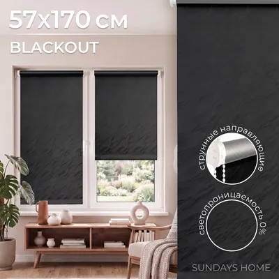 Рулонная штора Sundays Home Аква Тэрмоблэкаут 57x170 (черный)
