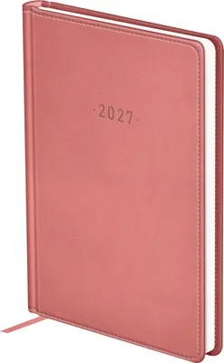 Ежедневник BG Виннер 2027г / DdА6_67918 (176л, розовый)