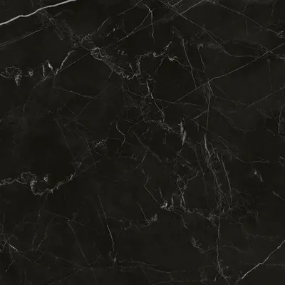 Плитка Zerde Tile Royal Black матовый (590x590)