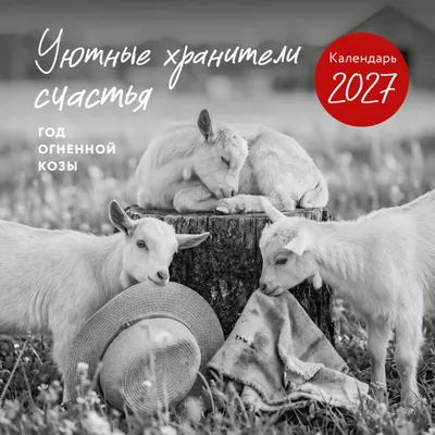 Календарь настенный Эксмо Уютные хранители счастья. Год огненной козы/овцы. 2027 год (9785042405860)