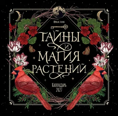 Календарь настенный Эксмо Тайны и магия растений. 2027 год (Сумина М. 9785042398575)