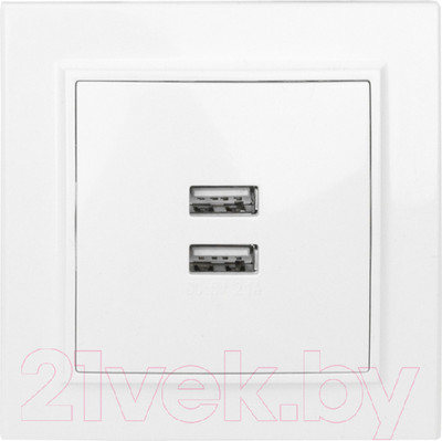Розетка EKF Минск-2 СП USB 2.1А / ERR-2USB-100 (белый)
