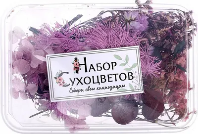 Набор для творчества Школа талантов Сухоцветы Изысканность / 7749583