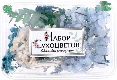 Набор для творчества Школа талантов Сухоцветы Утонченность / 7749582