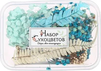 Набор для творчества Школа талантов Сухоцветы Нежность / 7749580