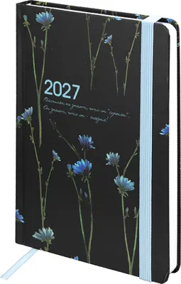 Ежедневник Brauberg Васильки 2027 / 117835