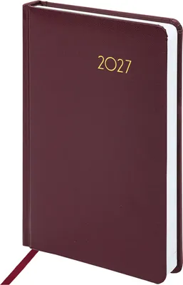 Ежедневник Brauberg Select 2027 / 117953 (бордовый)