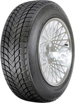 Зимняя шина Landsail Winter Lander 215/55R18 95H