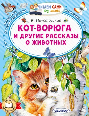 Художественная книга АСТ Кот-ворюга и другие рассказы о животных (Паустовский К. 9785171871604)