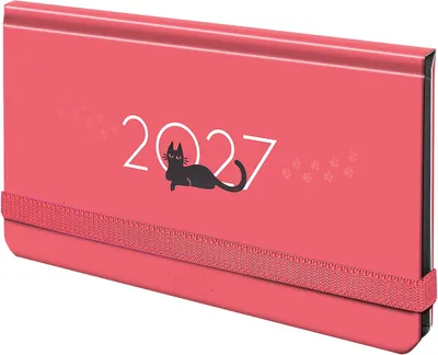Еженедельник Brauberg Кот 2027 / 117839 (64л)