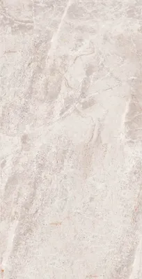 Плитка ProGres Eco NR0173К (600x1200, серый)