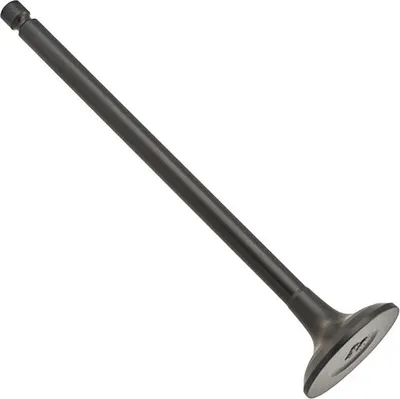 Впускной клапан двигателя Zikmar Z17547R