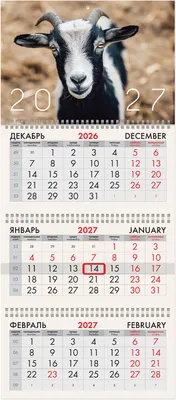 Календарь настенный Brauberg Символ года. 2027 год / 118245