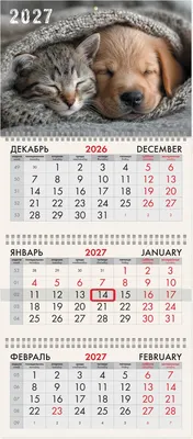 Календарь настенный Brauberg Лучшие друзья. 2027 год / 118261