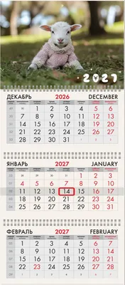 Календарь настенный Brauberg Козочка. 2027 год / 118276