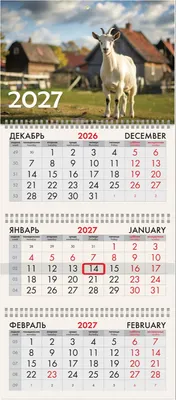 Календарь настенный Brauberg Год козы. 2027 год / 118277
