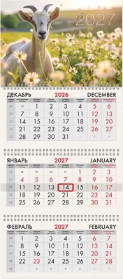 Календарь настенный Brauberg Символ года. 2027 год / 118278