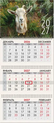 Календарь настенный Brauberg Символ 2027 года / 118279