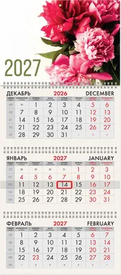 Календарь настенный Brauberg Пионы. 2027 год / 118284