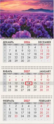 Календарь настенный Brauberg Цветочное поле. 2027 год / 118286