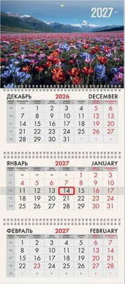 Календарь настенный Brauberg Горные цветы. 2027 год / 118290