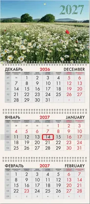 Календарь настенный Brauberg Ромашковое поле. 2027 год / 118291