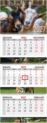 Календарь настенный Brauberg Extra. Символ года. 2027 год / 118299