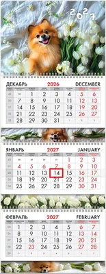 Календарь настенный Brauberg Extra. Милый песик. 2027 год / 118304