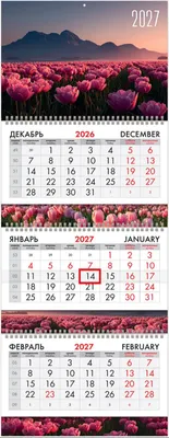 Календарь настенный Brauberg Extra. Горные цветы. 2027 год / 118314