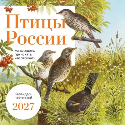 Календарь настенный Эксмо Птицы России: когда ждать, где искать, как отличать. 2027 год (9785042402272)