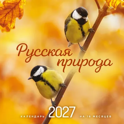 Календарь настенный Эксмо Русская природа. На 16 месяцев 2027 года (Олейник Д. 9785042399640)