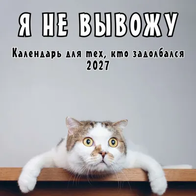 Календарь настенный Эксмо Я не вывожу! 2027 год (9785042472015)