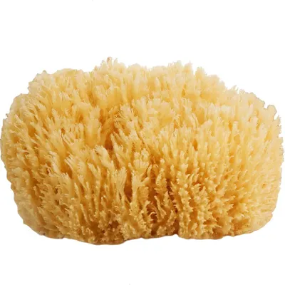 Губка для тела Suavipiel Natural Sea Sponge
