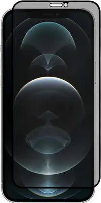 Защитное стекло для телефона Zibelino 3D Private для Apple iPhone 12 Pro Max (ZTG-3D-PR-APL-12-PRO-MAX-BLK)