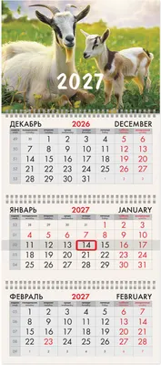 Календарь настенный Brauberg Символ 2027 года / 118247