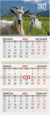 Календарь настенный Brauberg Две козы. 2027 год / 118249