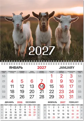 Календарь настенный Brauberg Символ года. 2027 год / 118340