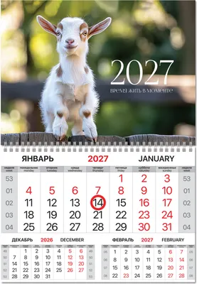 Календарь настенный Brauberg Козлик. 2027 год / 118342