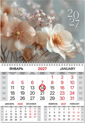 Календарь настенный Brauberg Цветы. 2027 год / 118343