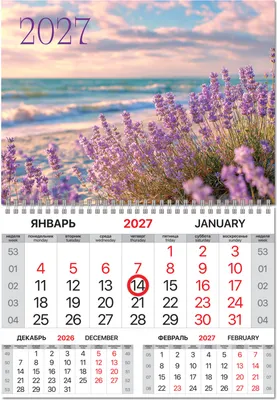 Календарь настенный Brauberg Побережье. 2027 год / 118346
