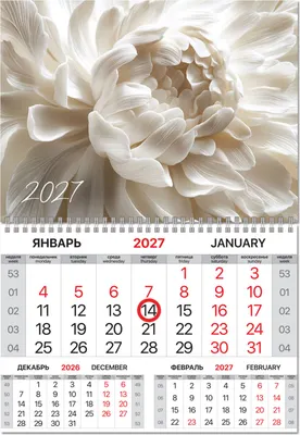 Календарь настенный Brauberg Пион. 2027 год / 118349