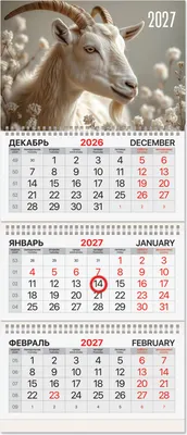 Календарь настенный Brauberg Символ года. 2027 год / 118329