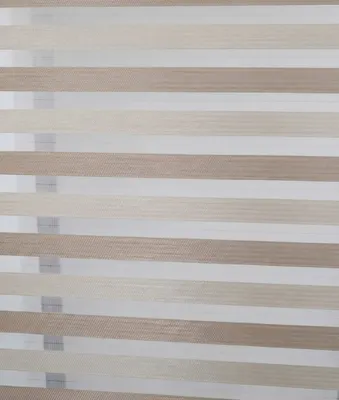 Рулонная штора Jalux Stripes 2526/2 56x160 (бежевый/коричневый)
